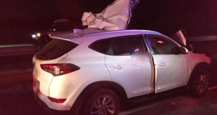 Oficial de Carabineros muere y sus tres hijos quedan heridos tras colisión con caballo en Ruta 5 Sur