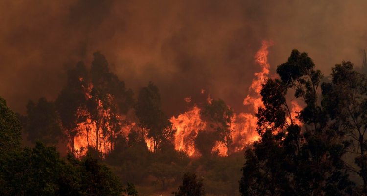 Más de 4 mil hectáreas consumidas es el saldo del incendio que aún permanece activo en Valparaíso