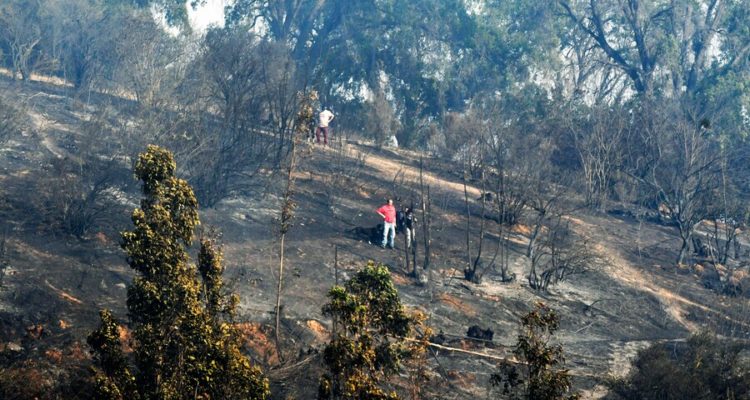 Incendio forestal en Marga Marga consume más de 3.200 hectáreas en 42 horas