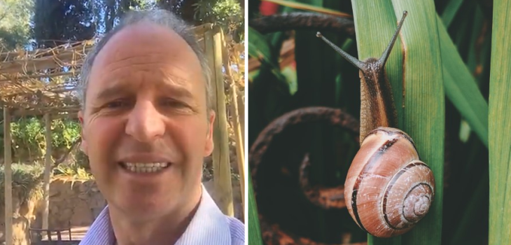 Alfredo Ugarte explica cómo eliminar caracoles