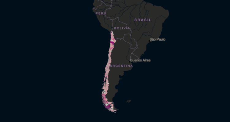 COVID-19 ya ha matado 371 personas este 2021 en Chile: Puerto Montt lidera casos activos