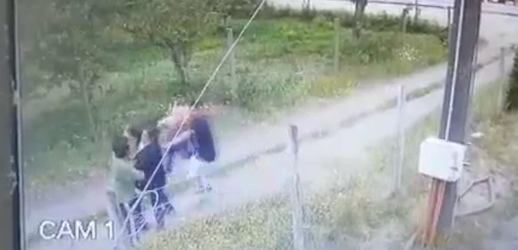Video muestra golpiza a vecino, quien asegura fue por denunciar a veraneantes acampando y de fiesta