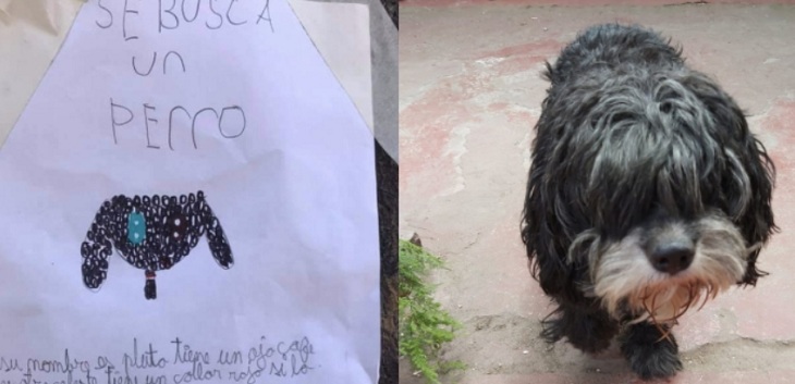 Cartel de niña que busca a su perro en Renca se hizo viral: pequeña hizo emotivo llamado en TV