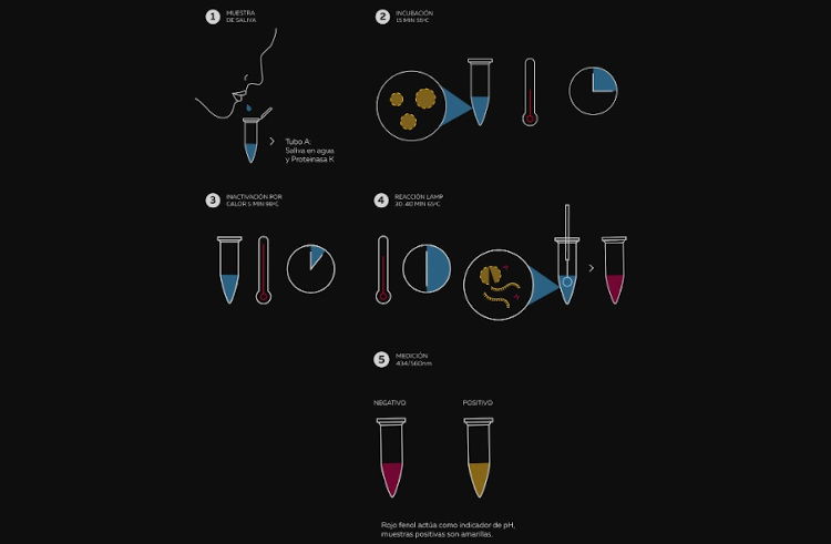 Tecnología "made in Chile": los aportes de científicos nacionales para enfrentar la pandemia