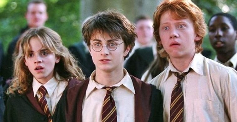 Amigos Harry Potter