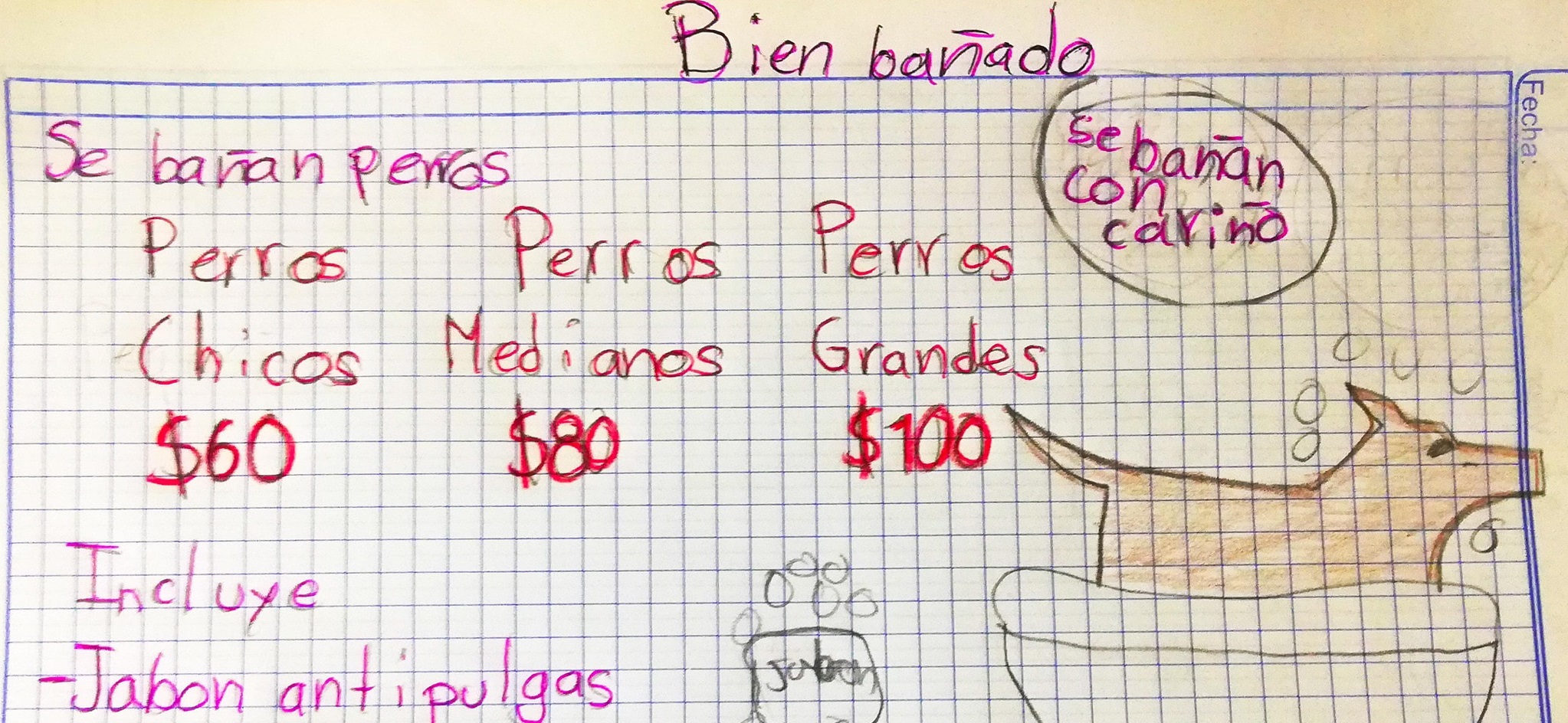 Niño mexicano de 7 años cobra por bañar perros: ahorra para cumplir su sueño de ser veterinario