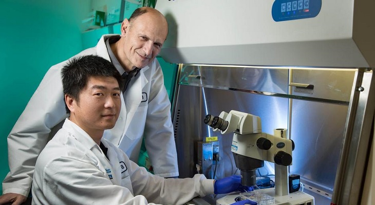 Los investigadores Juan Carlos Izpisua Belmonte y Jun Wu | US Salk Institute | DW