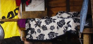 Piden ayuda para mujer de 88 años que vive en crítica mediagua: no quiere dejar a sus perros