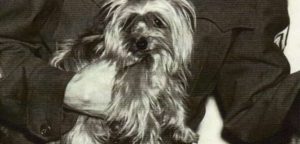 La historia de Smoky, la perrita que salvó a 250 soldados y 40 aviones en la Segunda Guerra Mundial