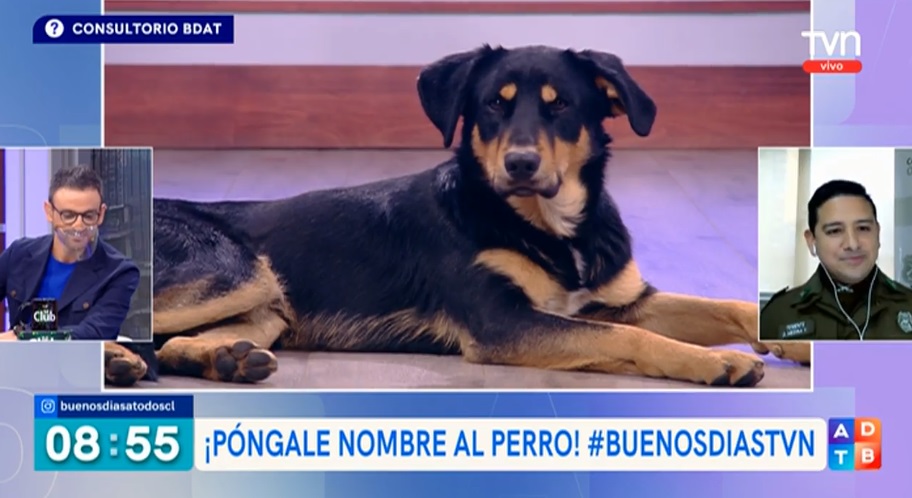 Captura TVN