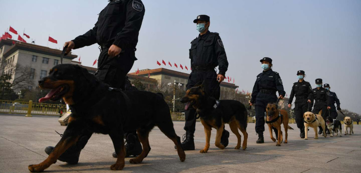 Policía china subasta a más de 50 perros por ser considerados 