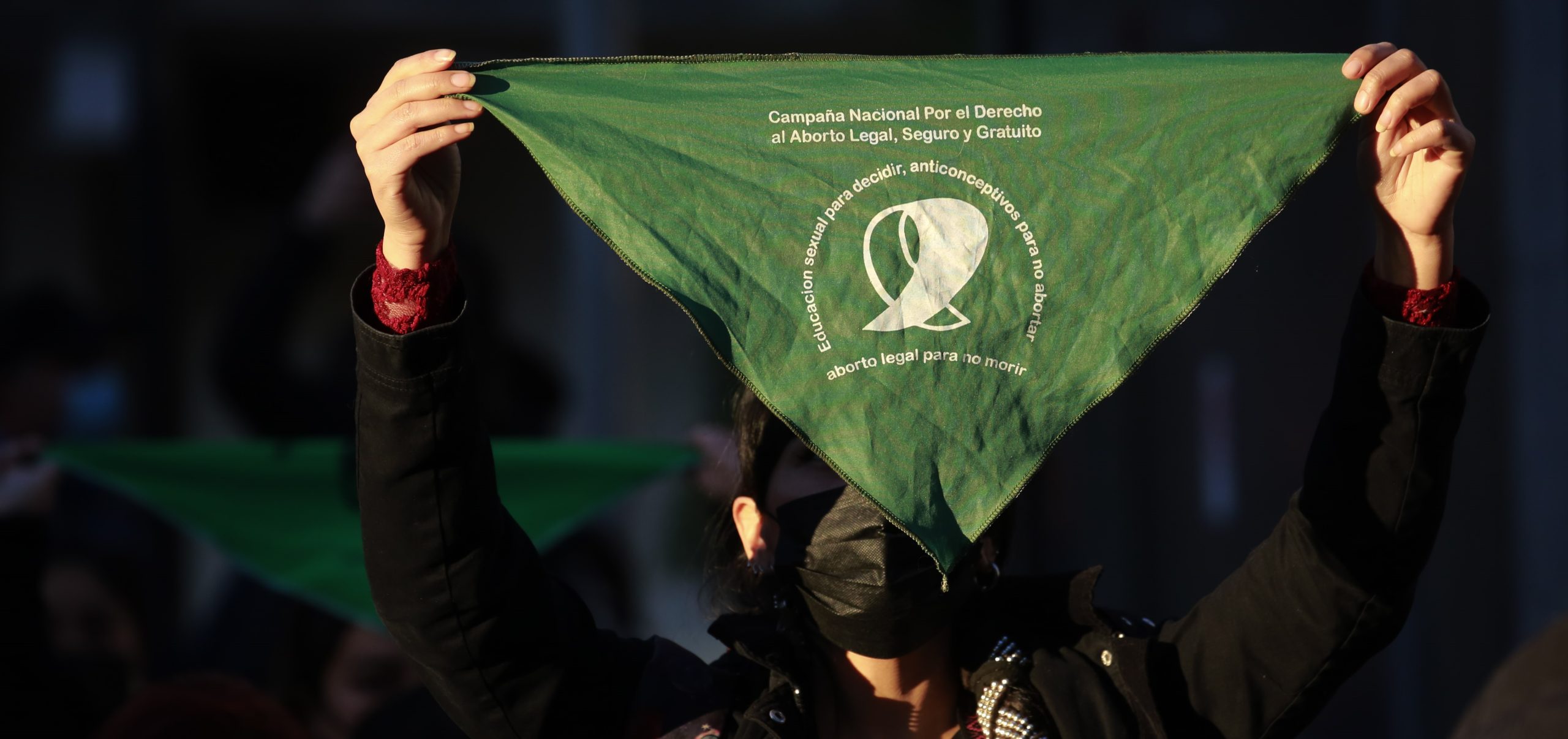 Comisión de de Mujeres y Equidad de Género rechazó la idea de legislar la despenalización del aborto