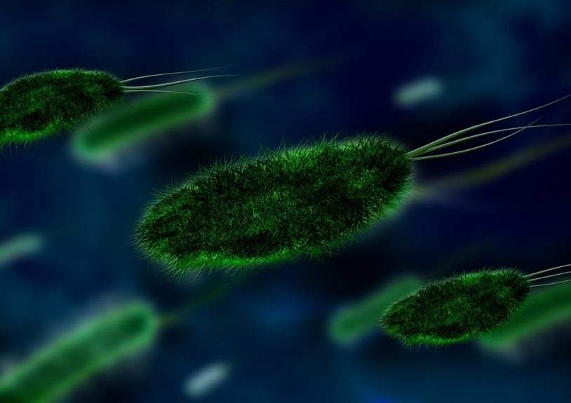 microbios higiene