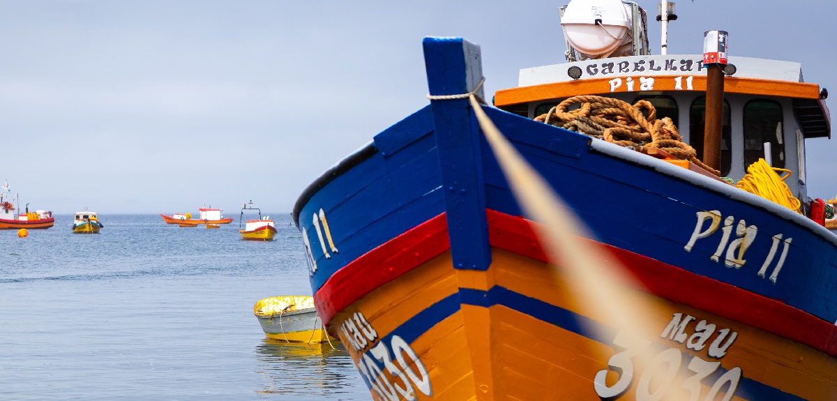 Comisiones de Constitución y Pesca aprueban en particular proyecto que anula la actual Ley de Pesca