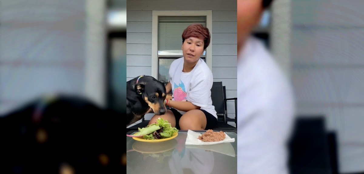 No salió como esperaba: tiktoker sufre “revés” de su perro al intentar probar que era vegetariano