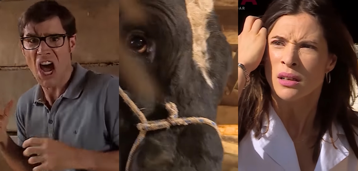 Escena del toro de Amanda: Daniela Ramírez desclasificará detalles en La Divina Comida