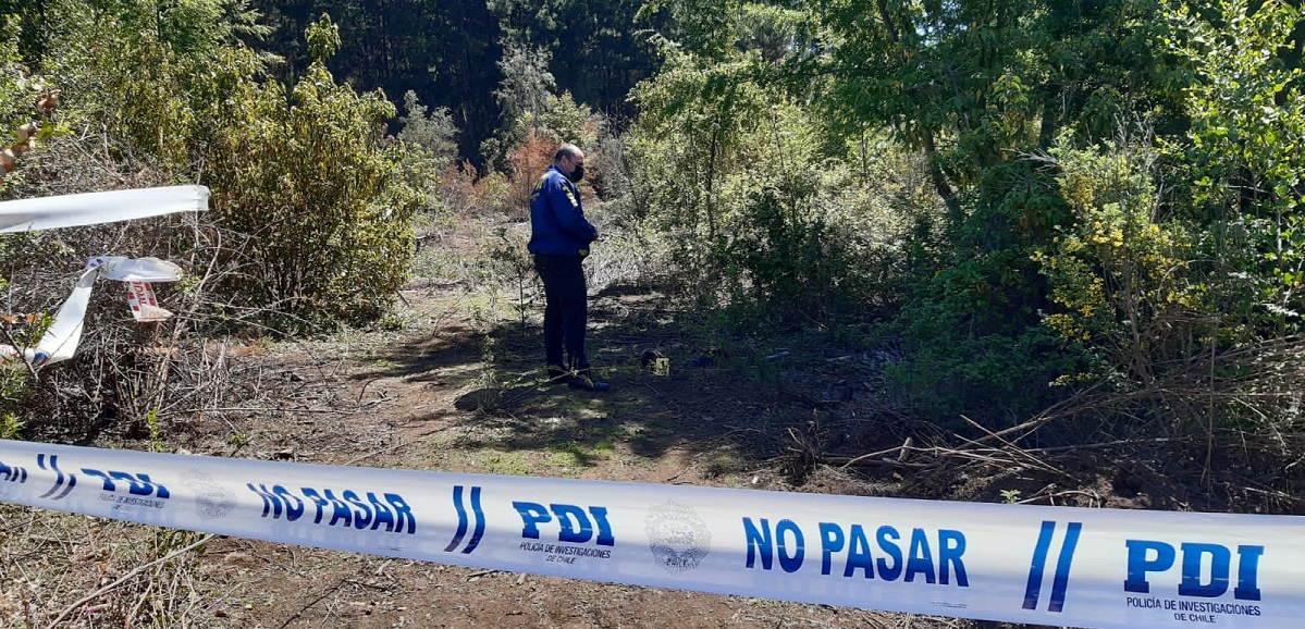 restos humanos son hallados en Parral: perro tenía extremidad en el hocico