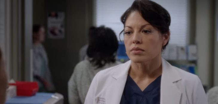 Grey's Anatomy Callie Torres