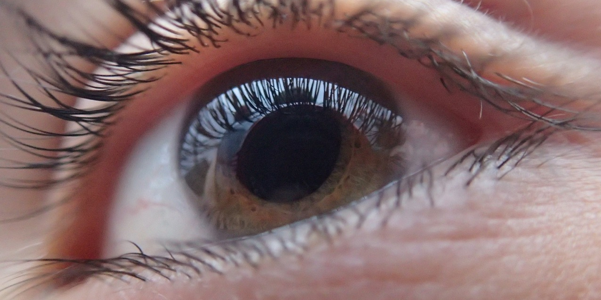 Estudio afirmó que la retina del ojo podría revelar si existe riesgo de muerte prematura
