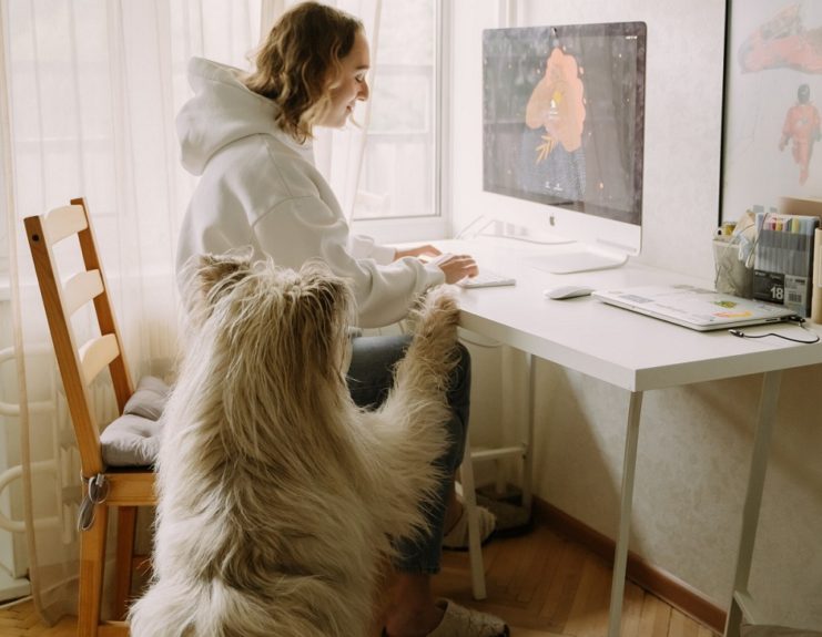 perro mujer computador