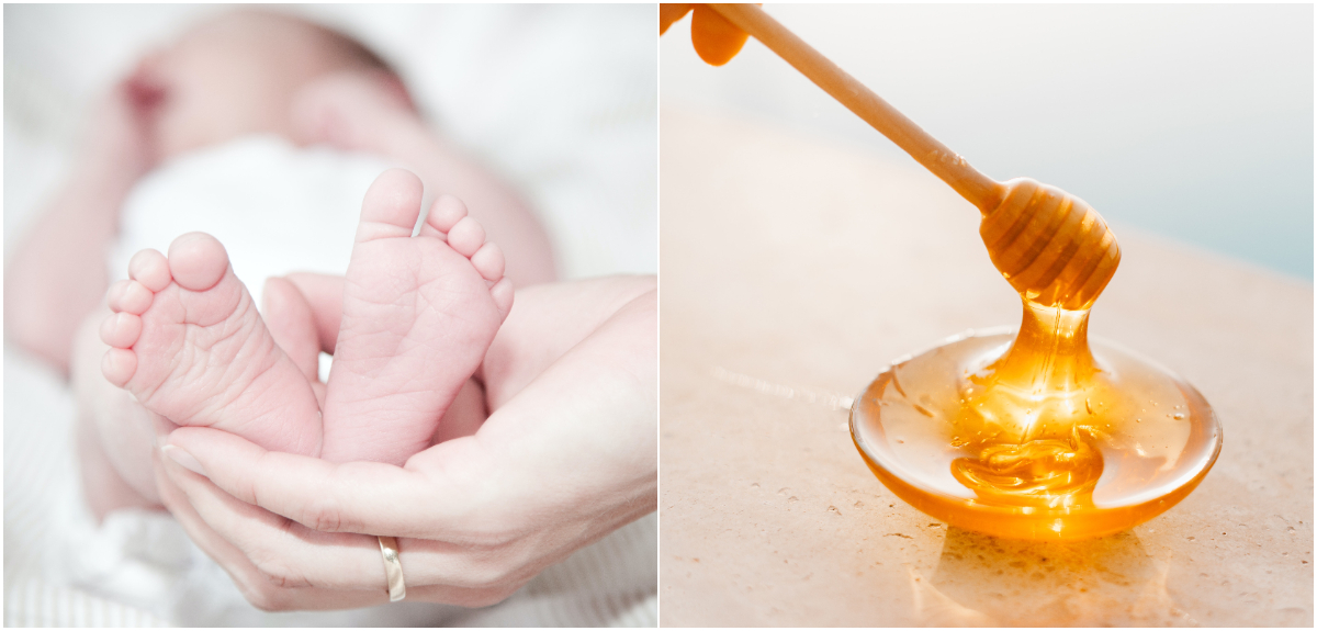 La peligrosa razón por la que bebés no deben consumir miel: puede provocarles la muerte