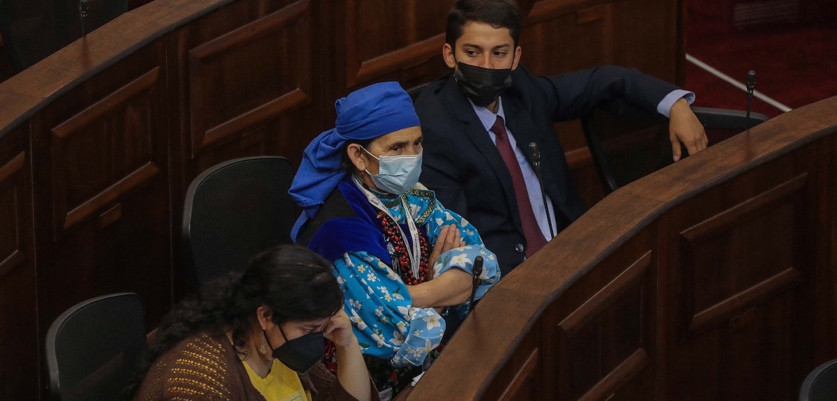 Comisión de la Convención Constitucional aprueba norma para restituir tierras a pueblos indígenas