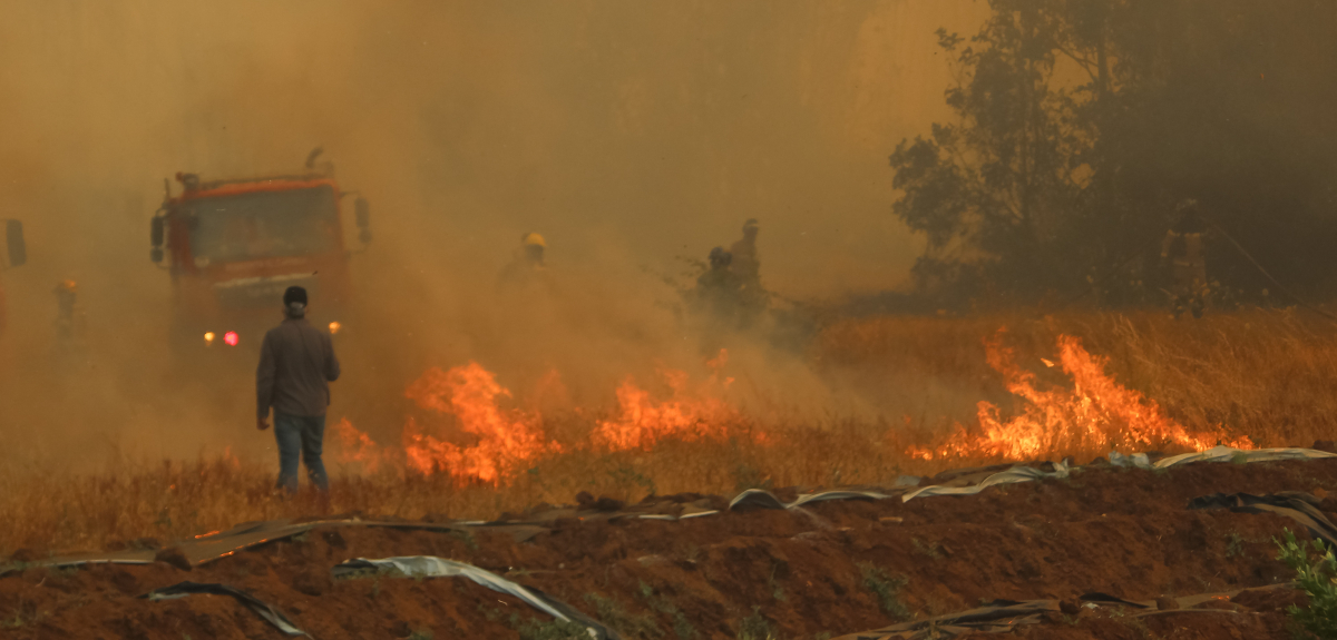 Cinco regiones afectadas: 33 incendios forestales se encuentran activos a nivel nacional
