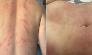 Quillón al día | Facebook