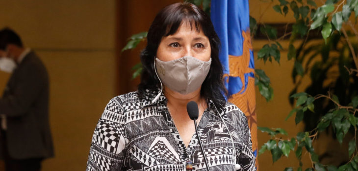 Marzán pidió al Mineduc pronunciarse por medidas para prevenir contagios