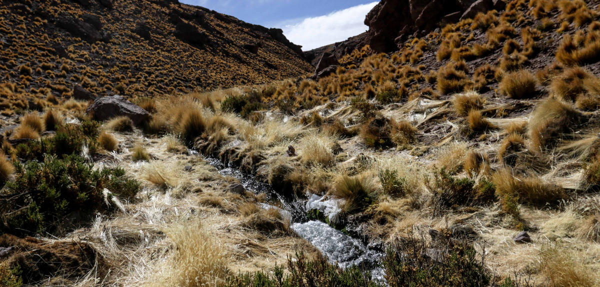 río Silala Chile Bolivia