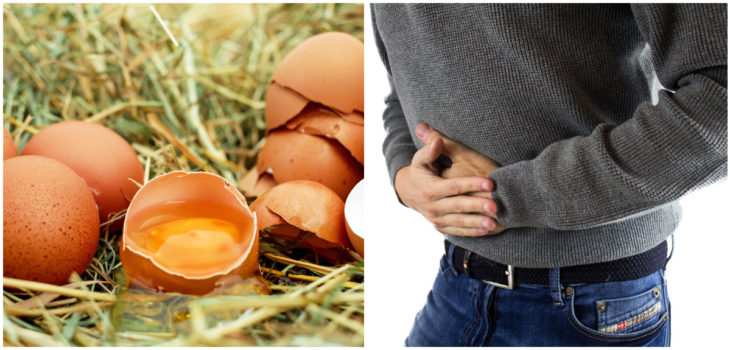 ¿Qué es la salmonella?: los síntomas de la bacteria que se encuentra principalmente en huevos