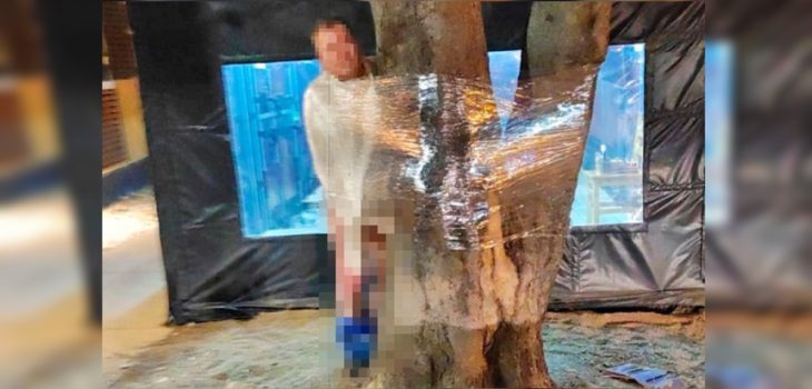 Hombre acusado de acosar a menor de edad fue atado semidesnudo a un árbol en Punta Arenas