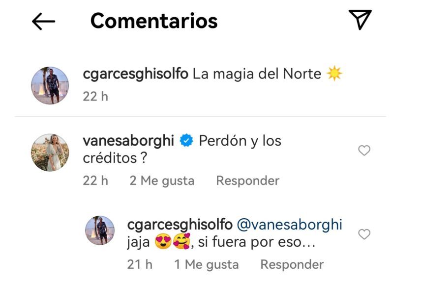 comentarios Vanesa Borghi