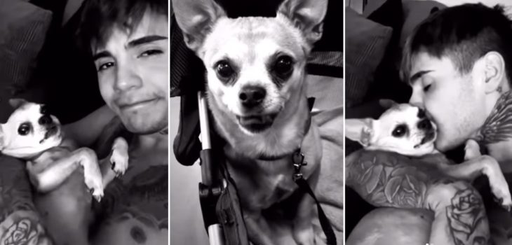 Leo Méndez Jr. compartió desgarrador video por la muerte de su mascota: “Pronto te haré compañía”