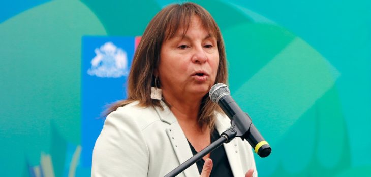 Ministra Jeanette Vega da pie atrás en sus dichos sobre presos políticos: “Debí diferenciar
