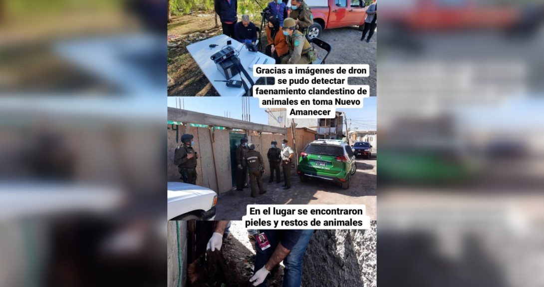 Descubren matadero clandestino en toma de Cerrillos: investigan comercialización en la zona