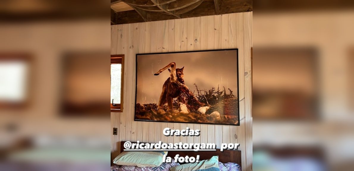 Pedro Astorga mostró colorida y artística decoración de la ducha de su casa en Pucón