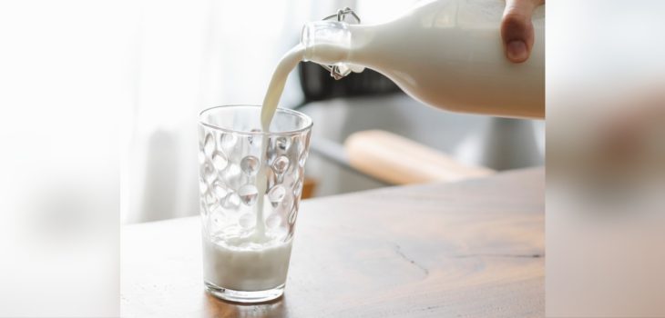 Investigadores vinculan el consumo de leche entera con el deterioro cognitivo en adultos mayores