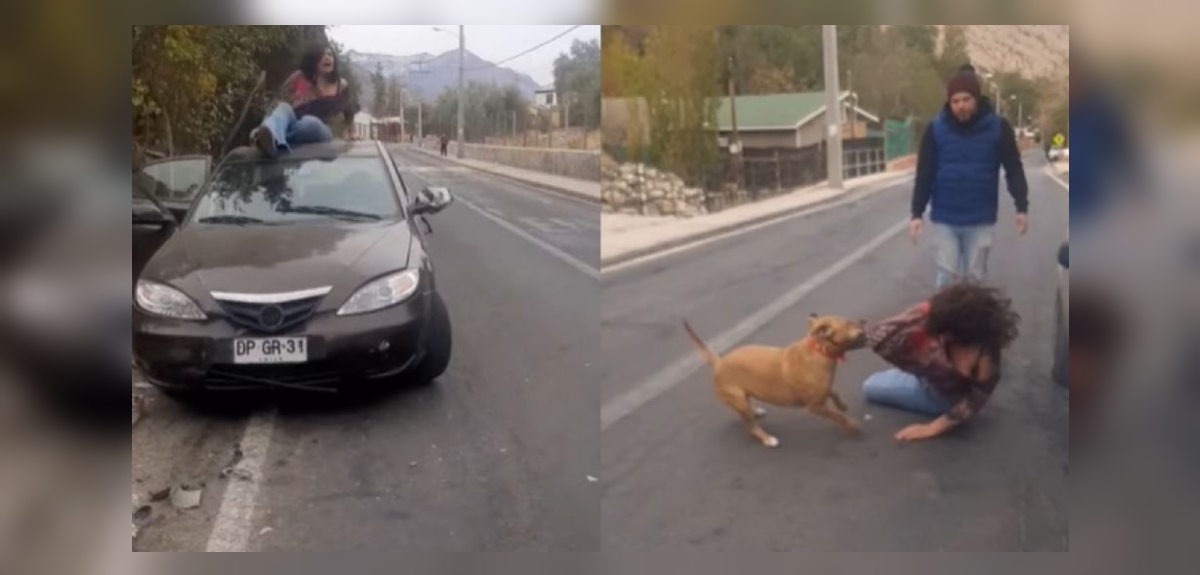 conductora ebria golpeó a mascota en Paihuano