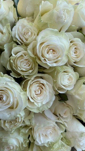 Benjamín Vicuña publica rosas blancas para recordar a su hija Blanca