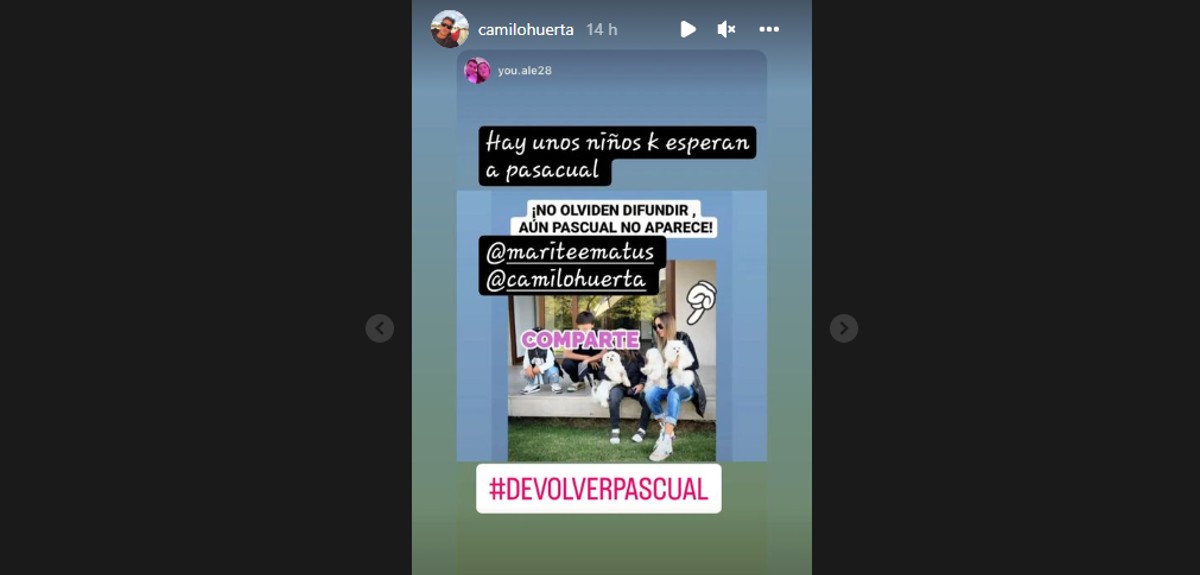 Marité Matus expuso complejo momento familiar que vive junto a sus hijos: una de sus mascotas se perdió