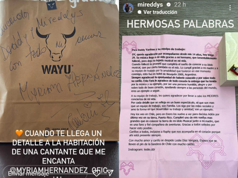 El particular regalo que le hizo Myriam Hern谩ndez a la esposa de Daddy Yankee tras su visita a Chile.