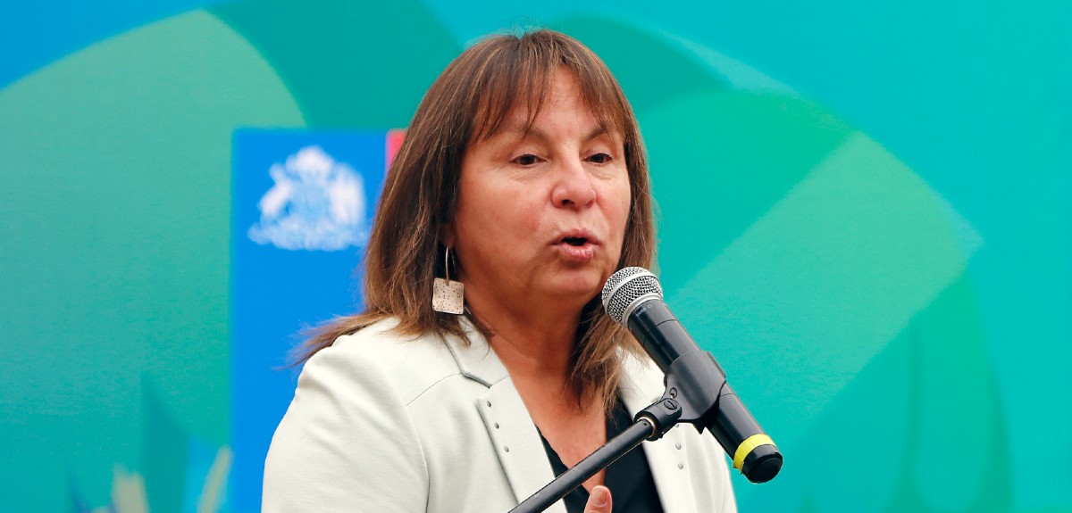 Exministra Jeanette Vega s refirió a su salida de La Moneda: negó diálogo con Llaitul