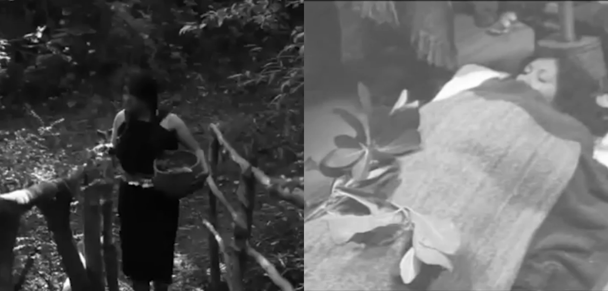 Mujer mapuche fue absuelta tras asesinar a su abuela y beber su sangre en 1953: la acusó de brujería