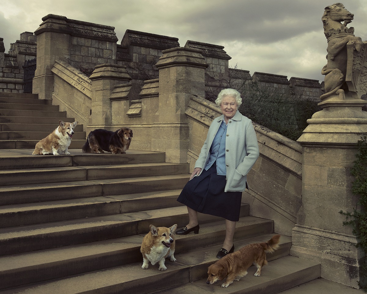 reina isabel perros corgi