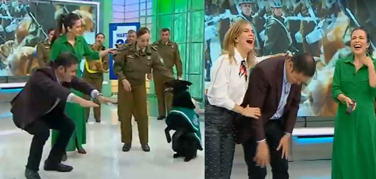 Chascarro de Roberto Saa con perro de Carabineros sacó carcajadas en Karla Constant y Diana Bolocco