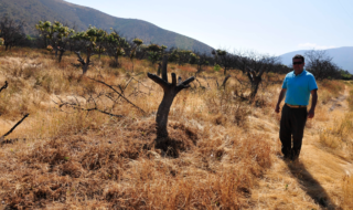Vecinos de Petorca explican su apoyo al Rechazo en plebiscito.