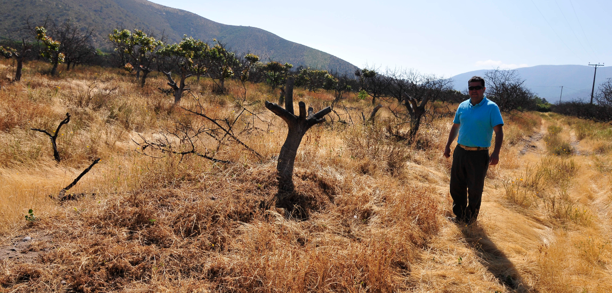 Vecinos de Petorca explican su apoyo al Rechazo en plebiscito.
