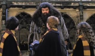 despedida Robbie Coltrane Harry Potter