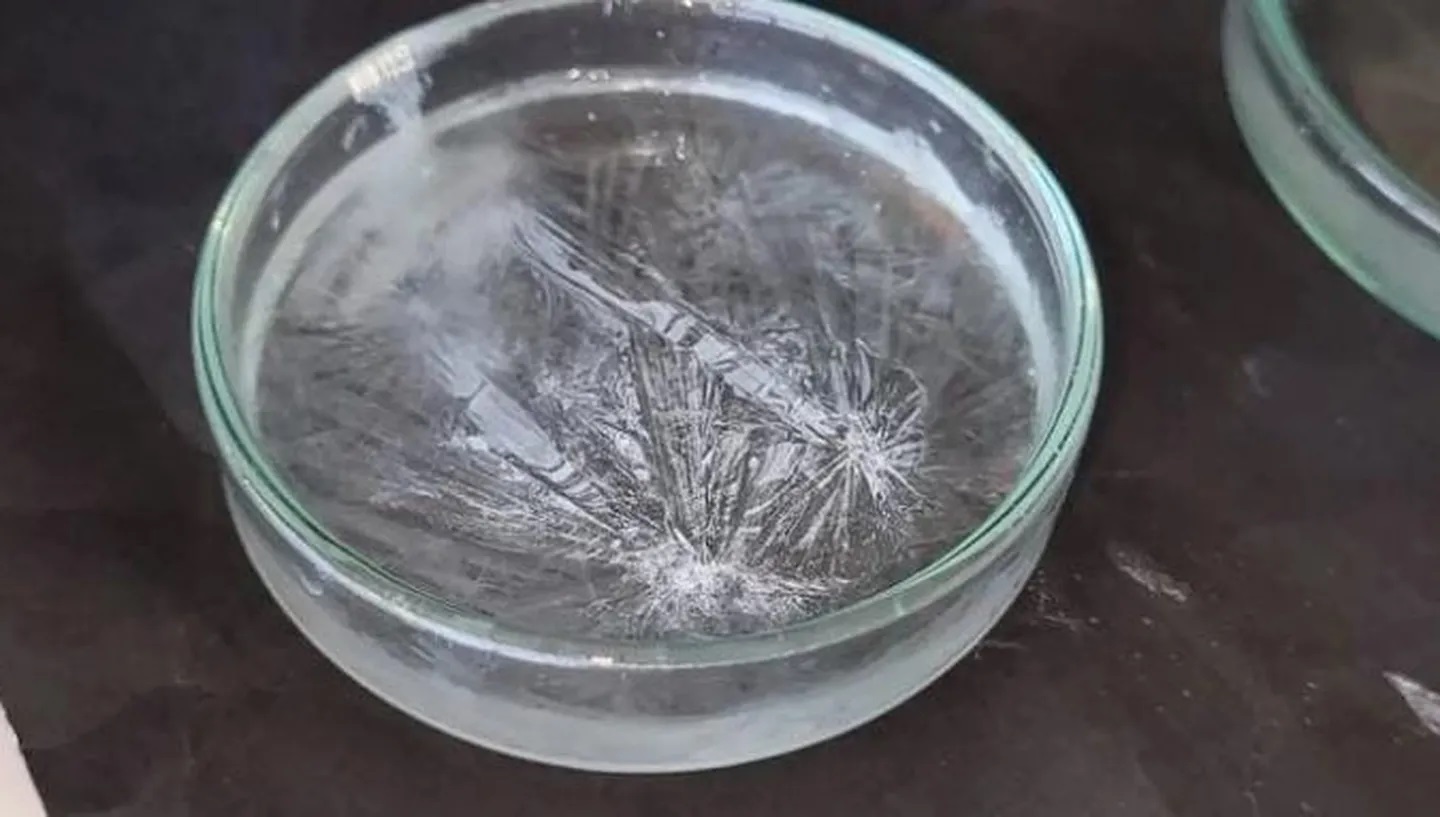 Almohadilla proyecto cáncer